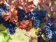 Grapes Indaba convenes in Italy