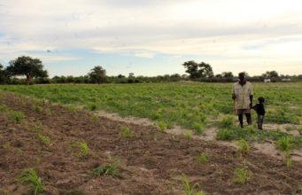 Batswana of Namibian descent on the brink of resettlement
