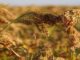 Crop production prospects favourable