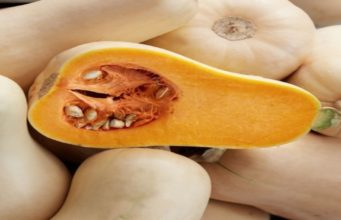 Namibia Agriculture Minister warns the region on food security