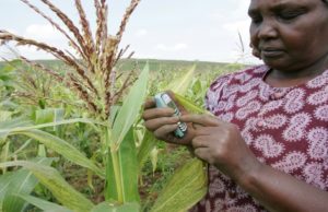 Agra launches online Agric academy