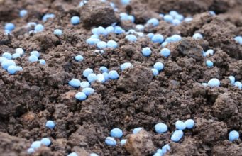Novel Africa fertilizer analytics service developed