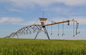This farmer can still count on his 43-year-old Zimmatic pivot to get the job done