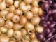 Namibia reopen borders to unrestricted imports of crops