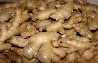 Namibia, Botswana ban import of SA fresh produce, AgriSA calls govt to act