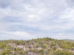 Namibian President Urges Vigilance as Wildfire Threatens Agriculture