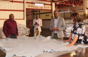 First AfCFTA Leather Exports from Namibia Head to Kenya
