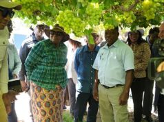 Namibia Grape Company’s Housing Initiative Sets Benchmark for Agricultural Investment in Karas Region