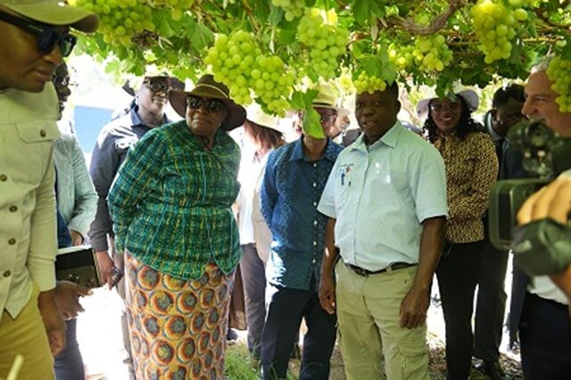 Namibia Grape Company's Housing Initiative Sets Benchmark for Agricultural Investment in Karas Region