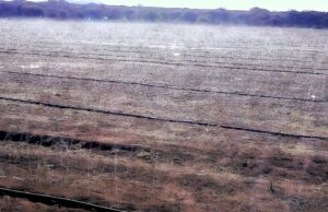 Namibia Sees Dramatic Drop in Acute Food Insecurity, But Looming Lean Season Threatens Gains