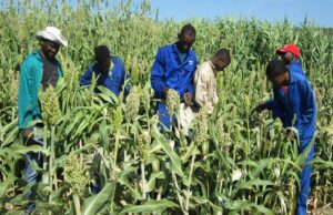 Husab Mine’s Transformation Forges Namibian Skills and Livelihoods