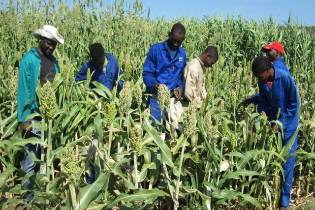 Husab Mine's Transformation Forges Namibian Skills and Livelihoods