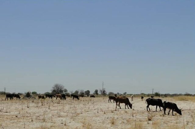 Namibia Targets Illegal Mining Glut with New Regulatory Framework