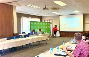 Fiscal Discipline Yields N$152m Windfall for Namibian Agronomic Board