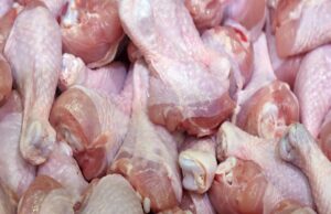 Brazilian Imports and MDM Demand Drive Namibian Poultry Sector in 2025