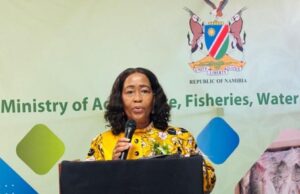 Namibia Overhauls Land Board to Accelerate Commercial Property Redistribution