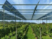 Farmers Turn to Solar as Energy Costs Squeeze Margins