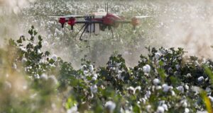 African Exporters Face New EU Pesticide Compliance Risk
