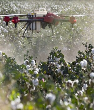 African Exporters Face New EU Pesticide Compliance Risk