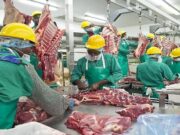 Meatco Reclaims Commercial Ground as Revenue Rises