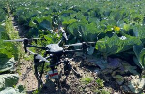 Namibia Scraps $2.4 Million AI Crop Monitoring Deal With US Tech Firm