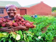Solidaridad leads the 2026 AFS Forum