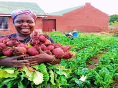 Solidaridad leads the 2026 AFS Forum