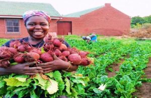 Solidaridad leads the 2026 AFS Forum