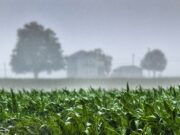 Southern Africa Mobilises as El Niño Threatens Regional Farming