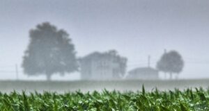 Southern Africa Mobilises as El Niño Threatens Regional Farming