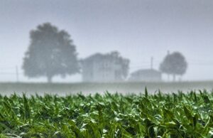 Southern Africa Mobilises as El Niño Threatens Regional Farming