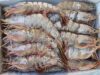 High Tides and Higher Returns: Inside Namibia’s Booming Seafood Export Sector